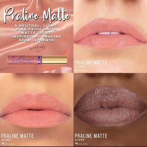 NWT. SeneGence Praline Matte LipSense Gloss